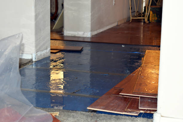 Professional Burst Pipe Cleanup technician working in Mountain View, NC